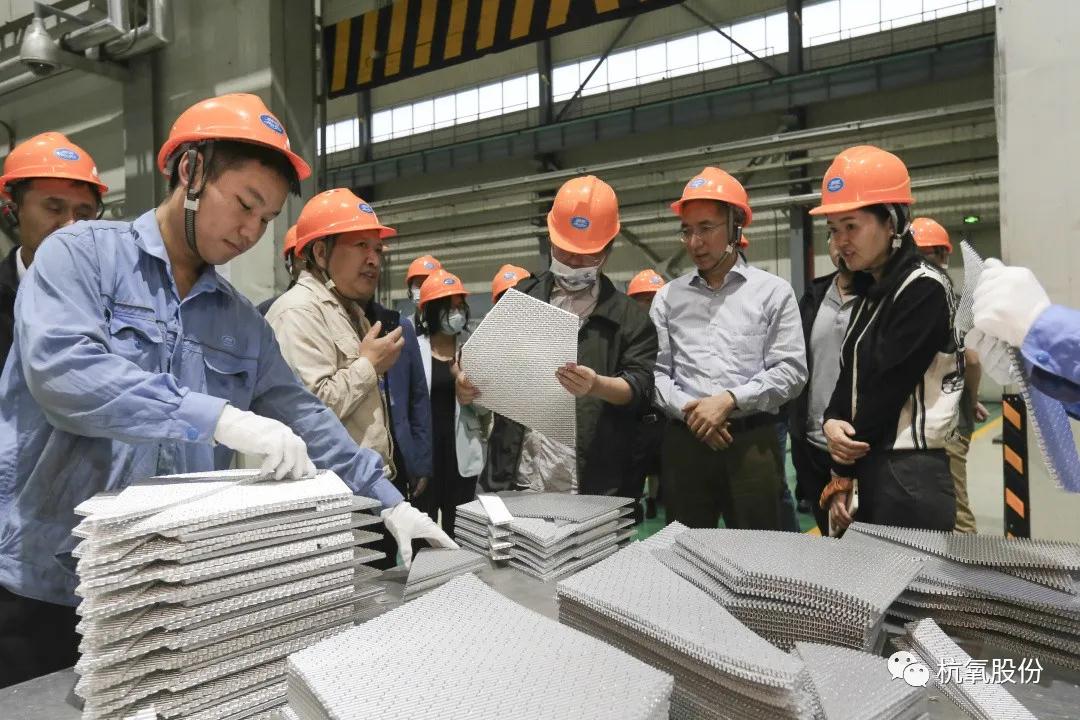工信部優質企業培育調研組在杭氧調研(圖2)